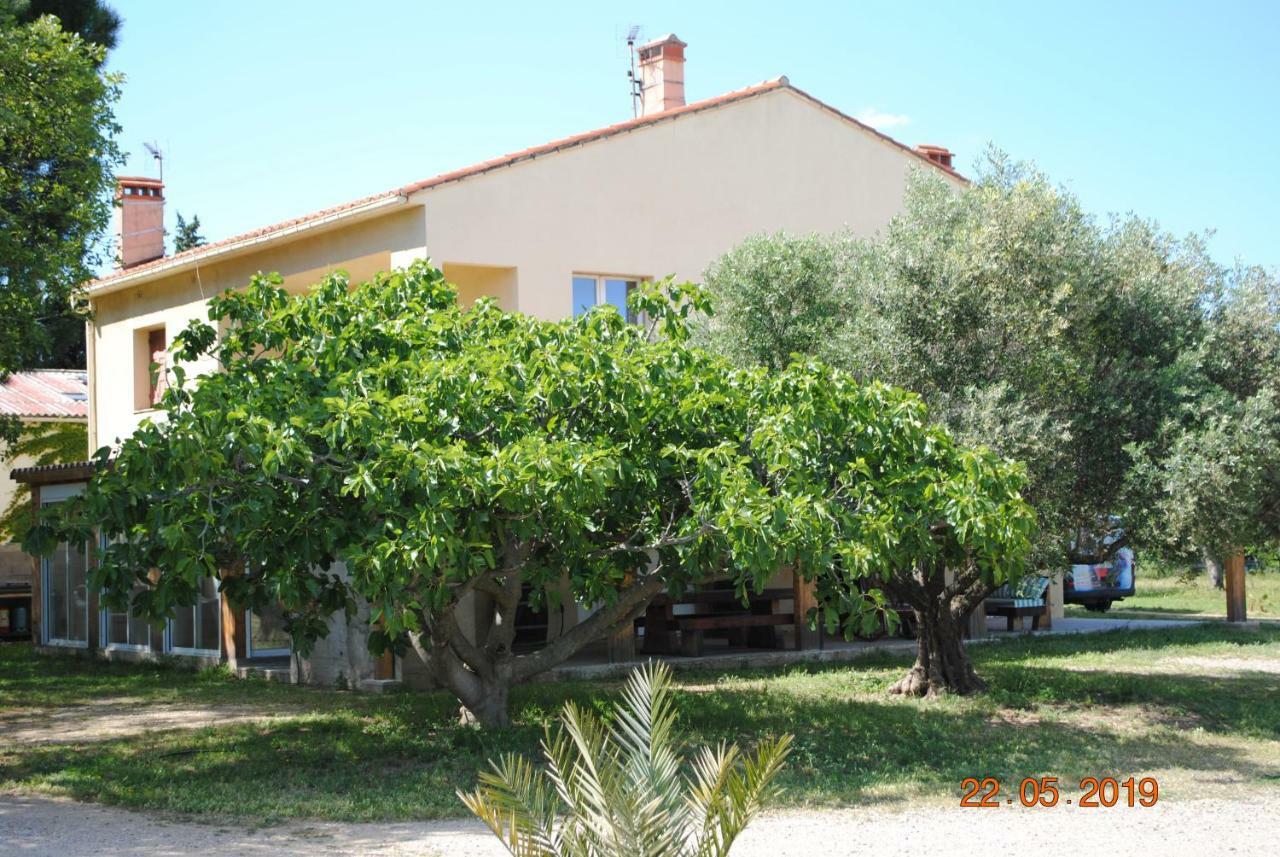 Mas De La Vignassa Villa Le Soler Екстериор снимка